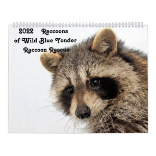2022 Rasioner av Vild Blue Yonder Raccoon Rädding Kalender