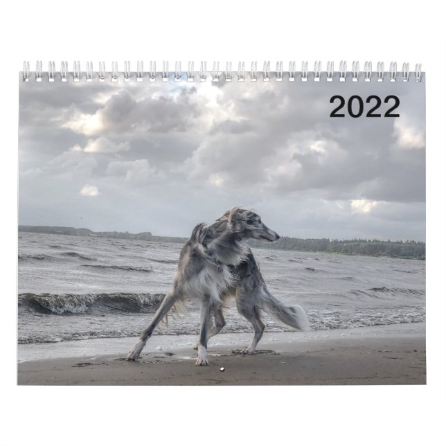 2022 Silken Windhounds (Många Hundar & In Action) Kalender (Omslag)