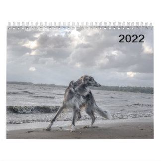 2022 Silken Windhounds (Många Hundar & In Action) Kalender