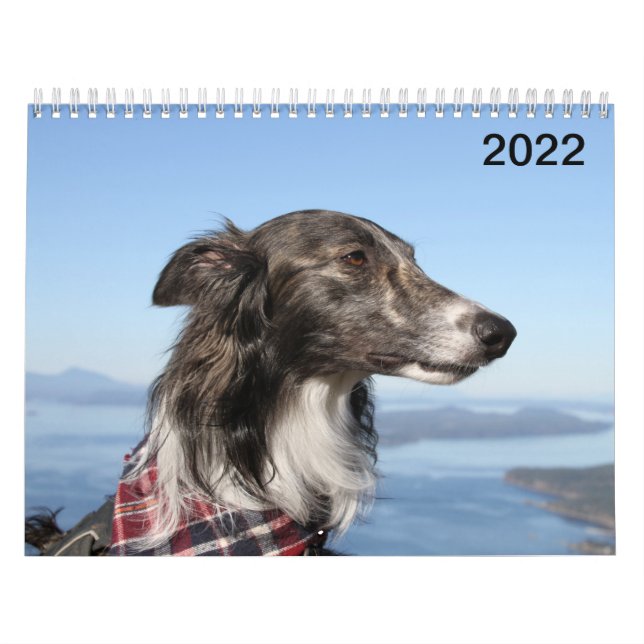2022 Silken Windhounds (skott) Kalender (Omslag)