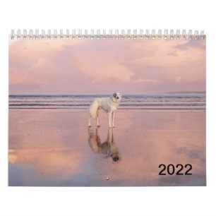 2022 Silken Windhounds (stående) Kalender