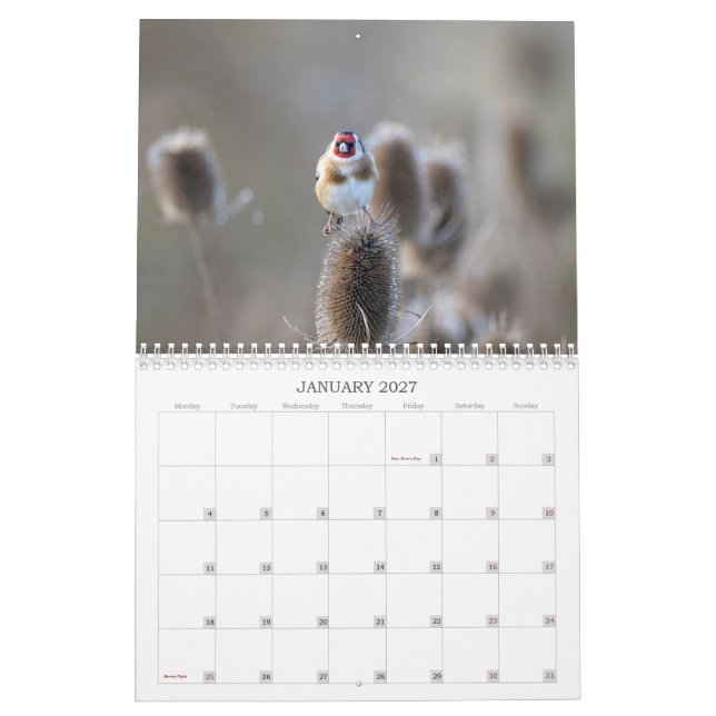 2022 UK Wildlife Calendar Kalender (Jan 2027)
