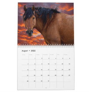 2022-Vildens HOrse-kalender Kalender
