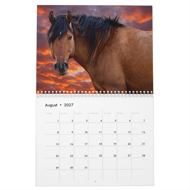 2022-Vildens HOrse-kalender Kalender (Aug 2027)