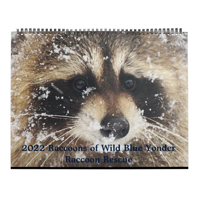 2022  Wild Blue Yonder Raccoon Rescue   Kalender (Omslag)