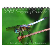 2023 års Dragonfly-kalender