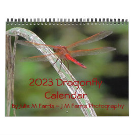 2023 års Dragonfly Wall-kalender Kalender