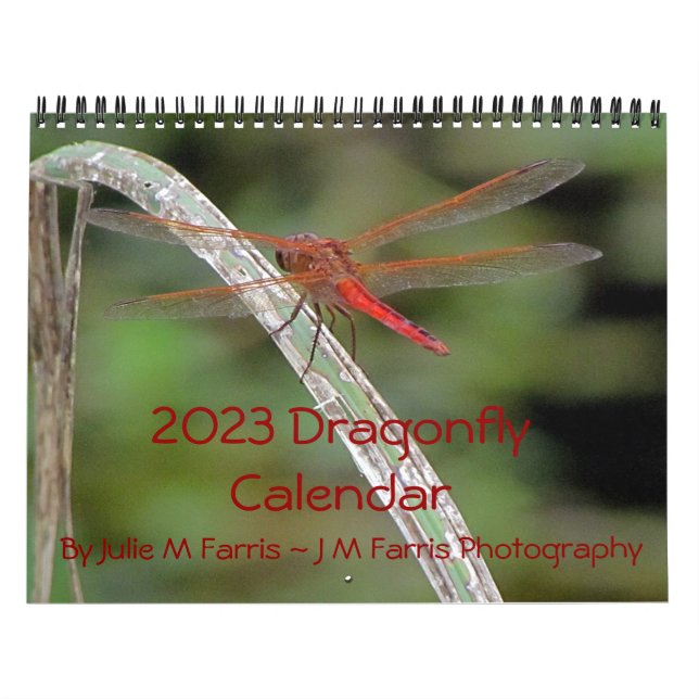2023 års Dragonfly Wall-kalender Kalender (Omslag)