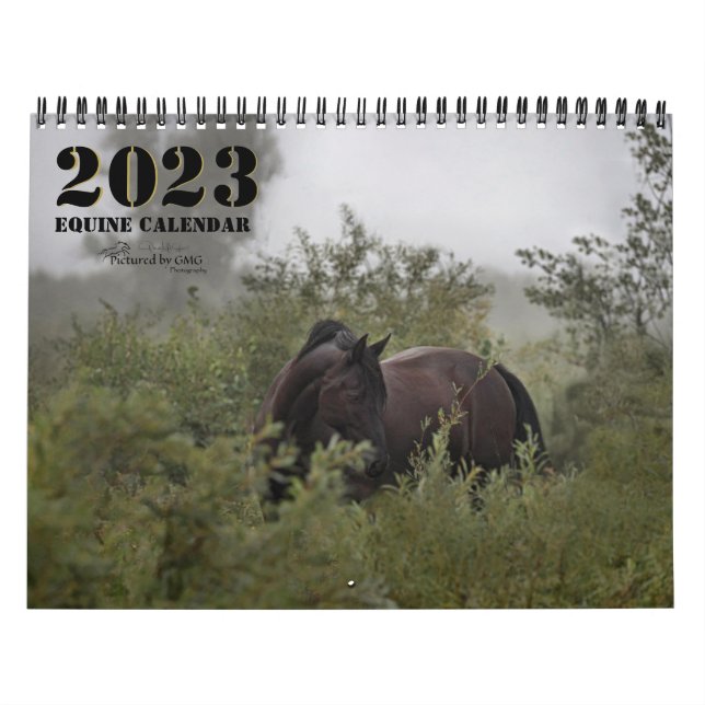 2023 års kalender för hästfoto II (Omslag)