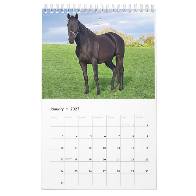 2023 års kalender för marscher och föråldrar (Jan 2027)