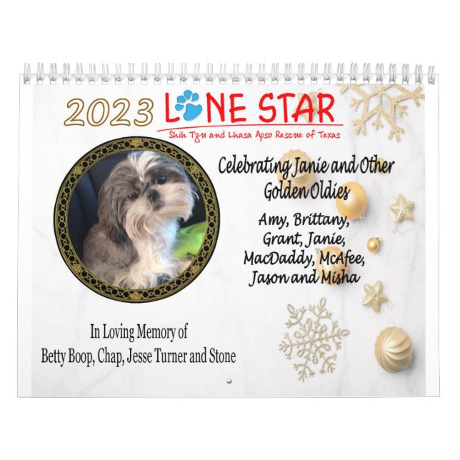 2023 års LSSTLAR-kalender Kalender (Omslag)