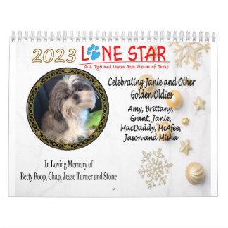 2023 års LSSTLAR-kalender Kalender