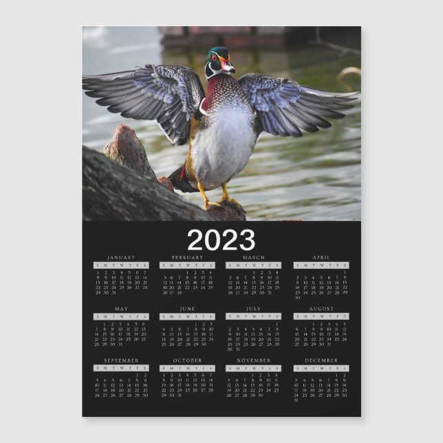 2023 års Magnet Calendar Vacker Wood Anka (Framsida)