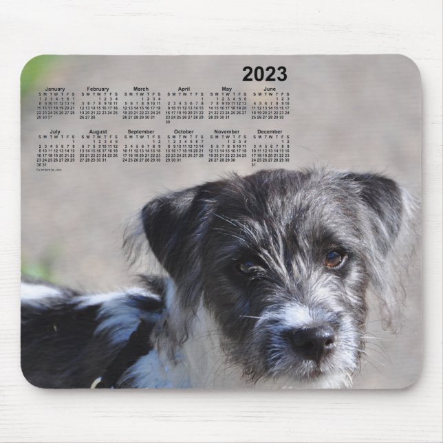 2023 års marionettkalender av Janz Jack Russell Te Musmatta (Framsidan)