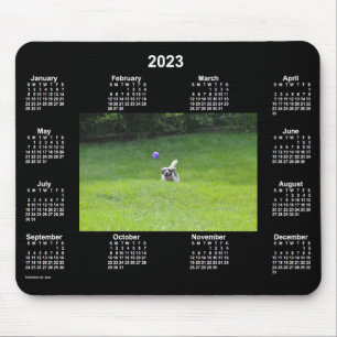 2023 Boll spelar Hund Neon Photo Calendar av Janz Musmatta