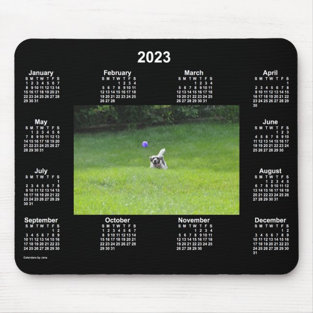 2023 Boll spelar Hund Neon Photo Calendar av Janz Musmatta (Framsidan)