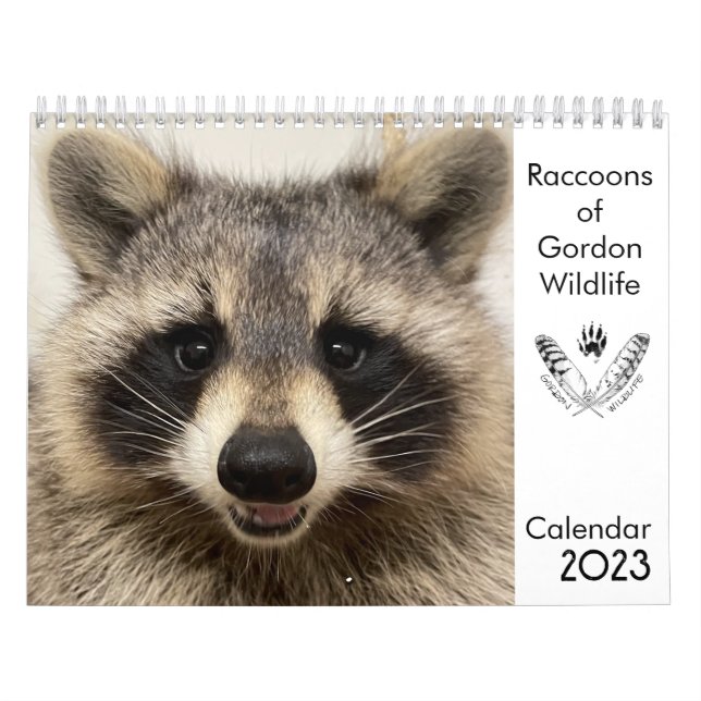 2023 Calendar Raccoons of Gordon Wildlife Kalender (Omslag)