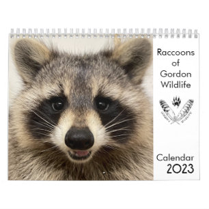 2023 Calendar Raccoons of Gordon Wildlife Kalender