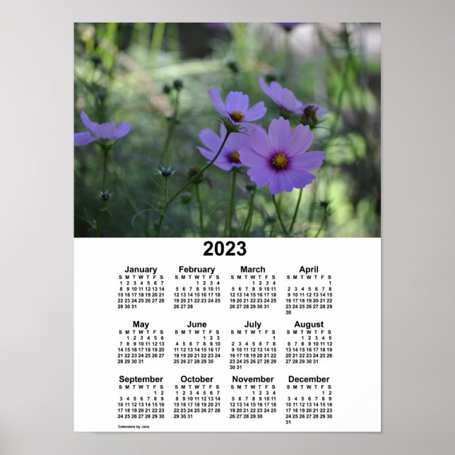 2023 Cosmos Kalender av Janz Poster (Framsidan)