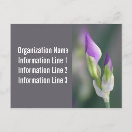 2023 Custom Company Postkortskalender Vykort