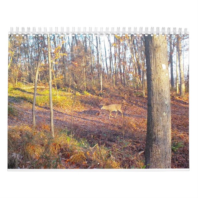 2023 Djurkalender Kalender (Omslag)