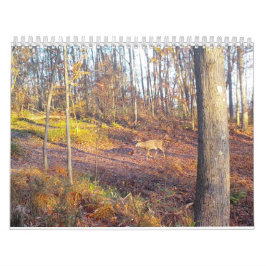 2023 Djurkalender Kalender