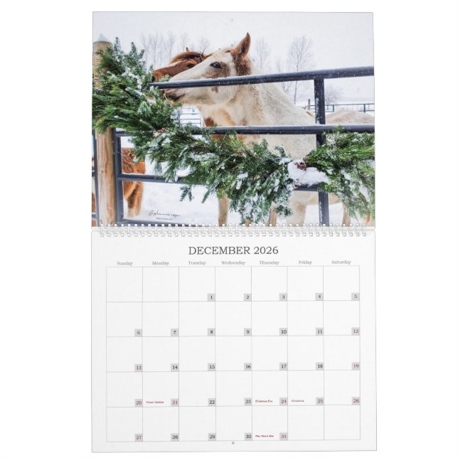 2023 - En årskalender för Michigan Mustang Kalender (Dec 2026)