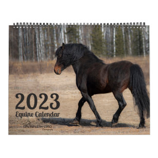 2023 Equine Photo Calendar Kalender