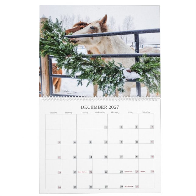 2023- Ett Michigan Mustang-år Kalender (Dec 2027)