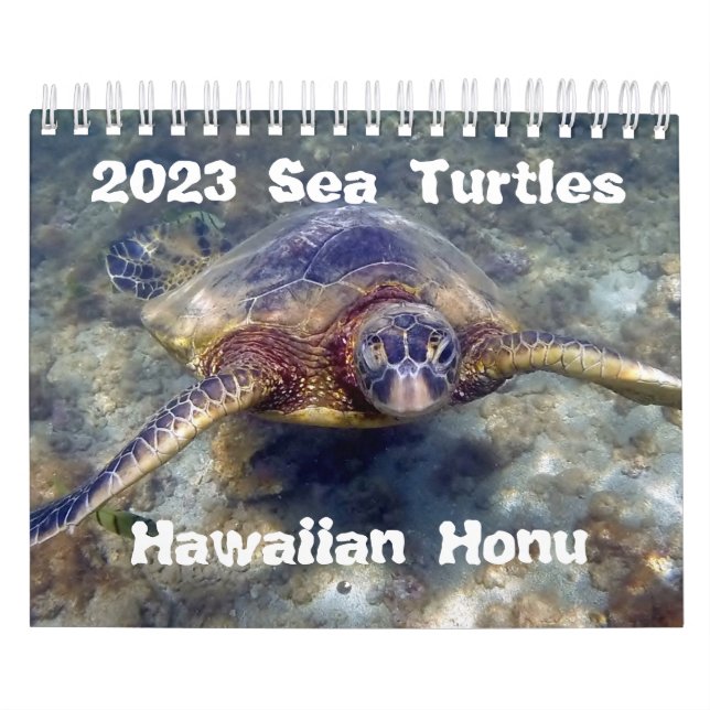 2023 Hawaii Honu Grönt Sea Turtles Kalender (Omslag)