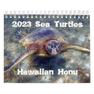 2023 Hawaii Honu Grönt Sea Turtles Kalender