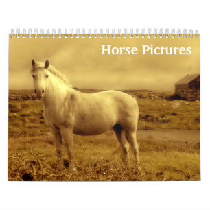 2023 Horse Bilder Bilder Kalender