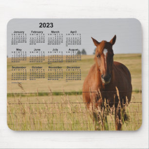 2023 Horse Calendar av Janz Musmatta