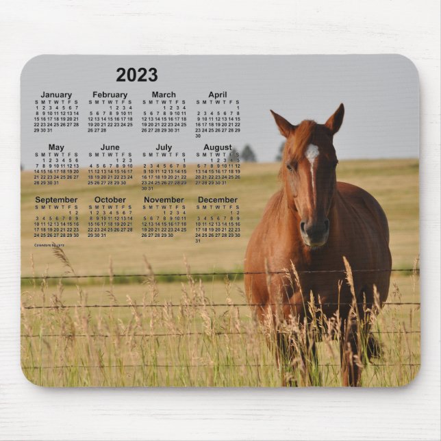 2023 Horse Calendar av Janz Musmatta (Framsidan)