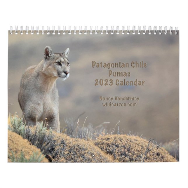 2023 Kalender Puma i Chile (Omslag)