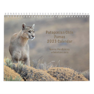 2023 Kalender Puma i Chile