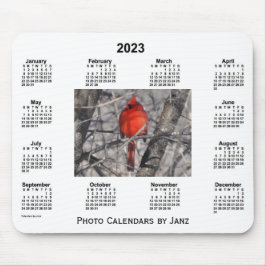 2023 Kardinalfotokalender från Janz Musmatta
