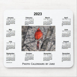 2023 Kardinalfotokalender från Janz Musmatta