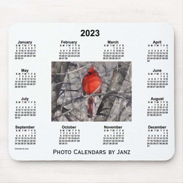 2023 Kardinalfotokalender från Janz Musmatta (Framsidan)