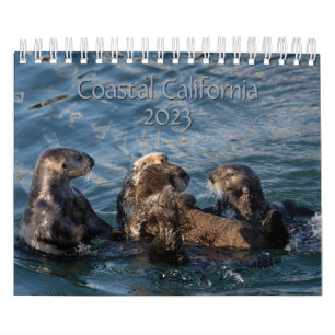 2023 längs Kalifornien Kusten CALENDAR Kalender