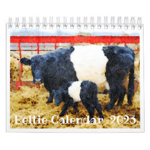 2023 Nötkreatur i Belted Galloway Beltie Rand Kalender