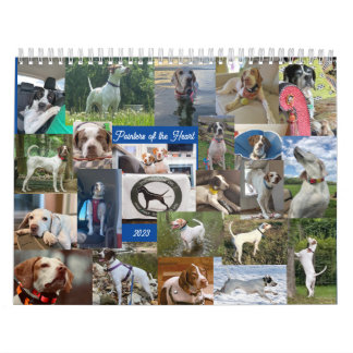 2023 Pekare för hjärtkalenderpekarenRescue Kalender