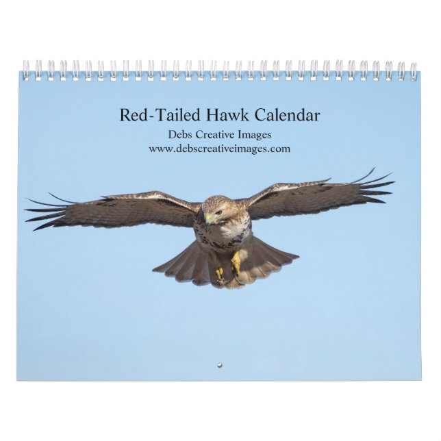 2023 Red-Tailed Hawk i Hudson Valley Kalender (Omslag)