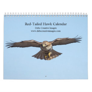 2023 Red-Tailed Hawk i Hudson Valley Kalender