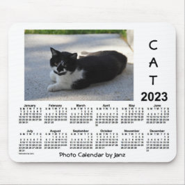 2023 Sassy Cat Photo Calendar av Janz Musmatta