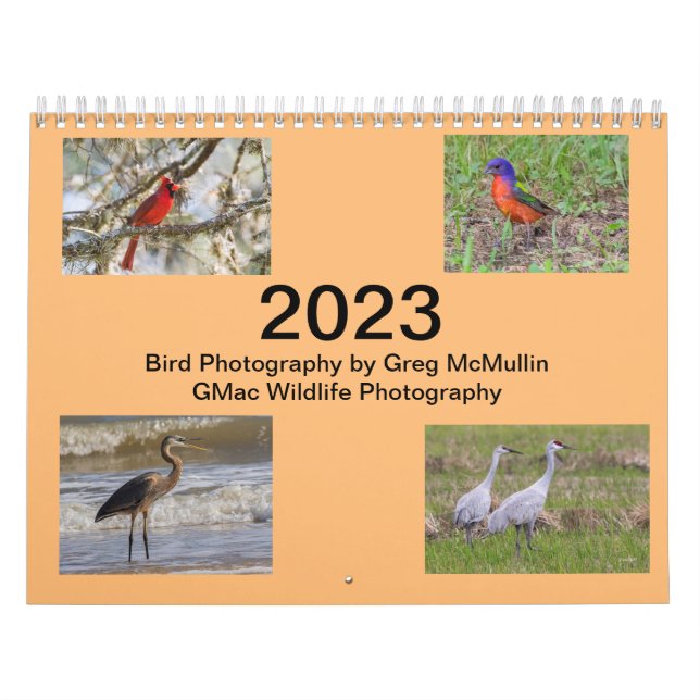 2023 Texas Bird Calendar Kalender (Omslag)