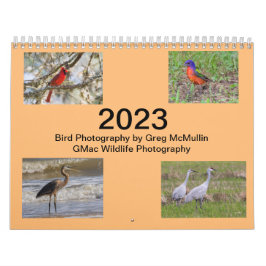 2023 Texas Bird Calendar Kalender