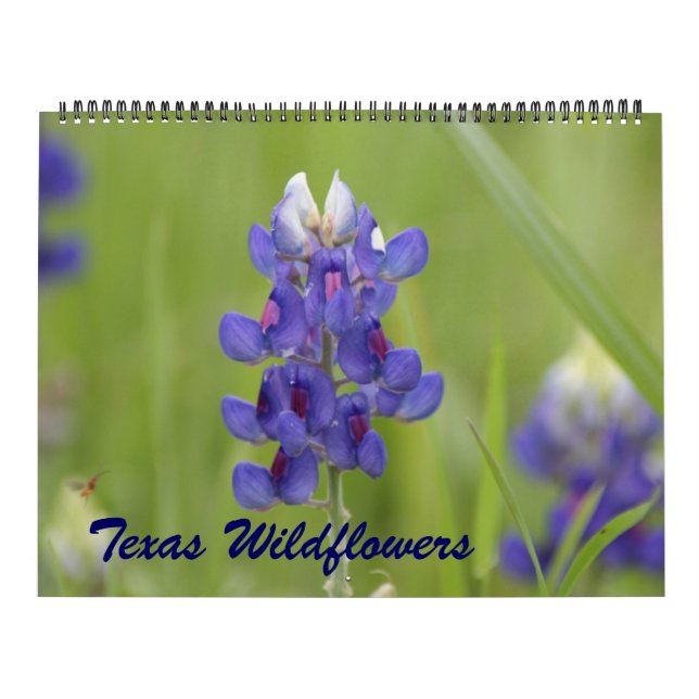 2023 Texas Wildblommor Kalender (Omslag)