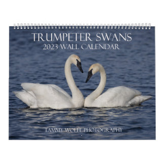 2023 Trumpeter Svan Wall Calendar Kalender