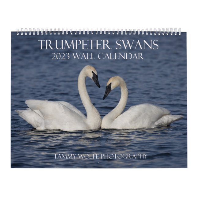 2023 Trumpeter Svan Wall Calendar Kalender (Omslag)
